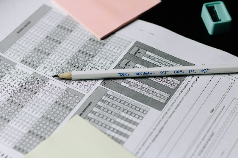"HR manager reviewing employee language performance reports with native-speaking coach"